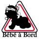 Autocollant Bébé à bord Corse foulard sticker adhesif