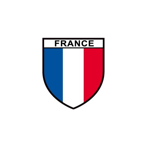 Autocollant Drapeau France sticker adhesif Français OPEX militaire