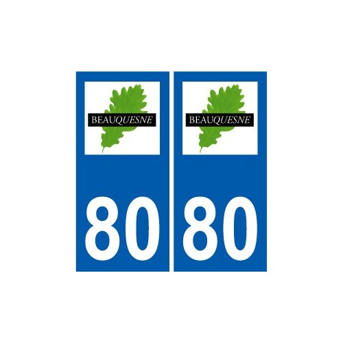 80 Roye logotipo de la etiqueta engomada de la placa de pegatinas de la ciudad
