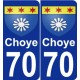 70 Choye stemma adesivo piastra adesivi città