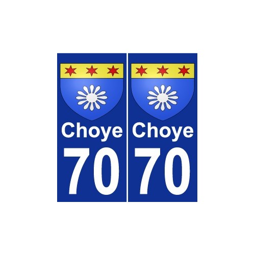 70 Choye stemma adesivo piastra adesivi città